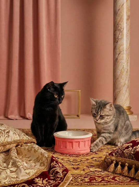 Roman-Inspired Pet Bowl Set – Pink Edition