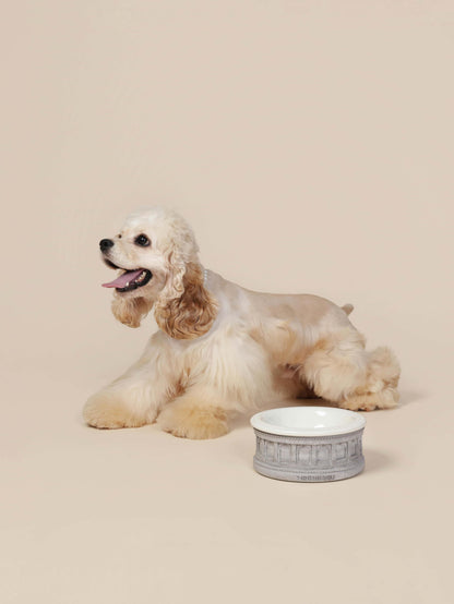 Roman-Style Pet Bowl Set – Gray