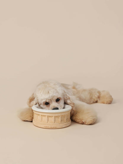 Roman-Style Pet Bowl Set – Beige