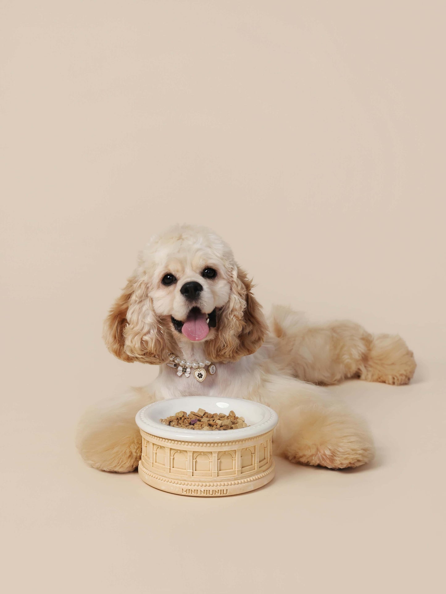 Roman-Style Pet Bowl Set – Beige