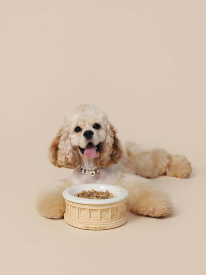 Roman-Style Pet Bowl Set – Beige