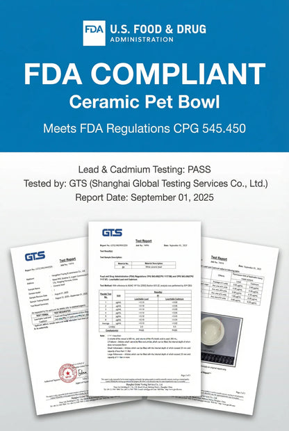 Roman-Inspired Pet Bowl Set – Gray Edition