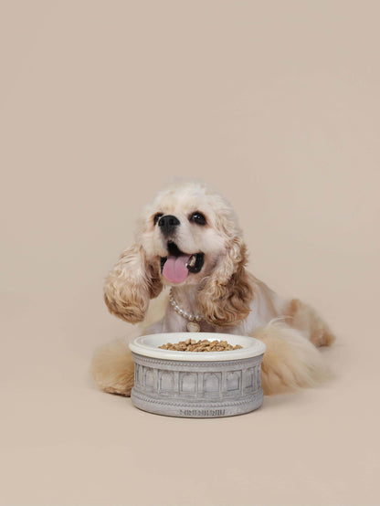 Roman-Style Pet Bowl Set – Gray