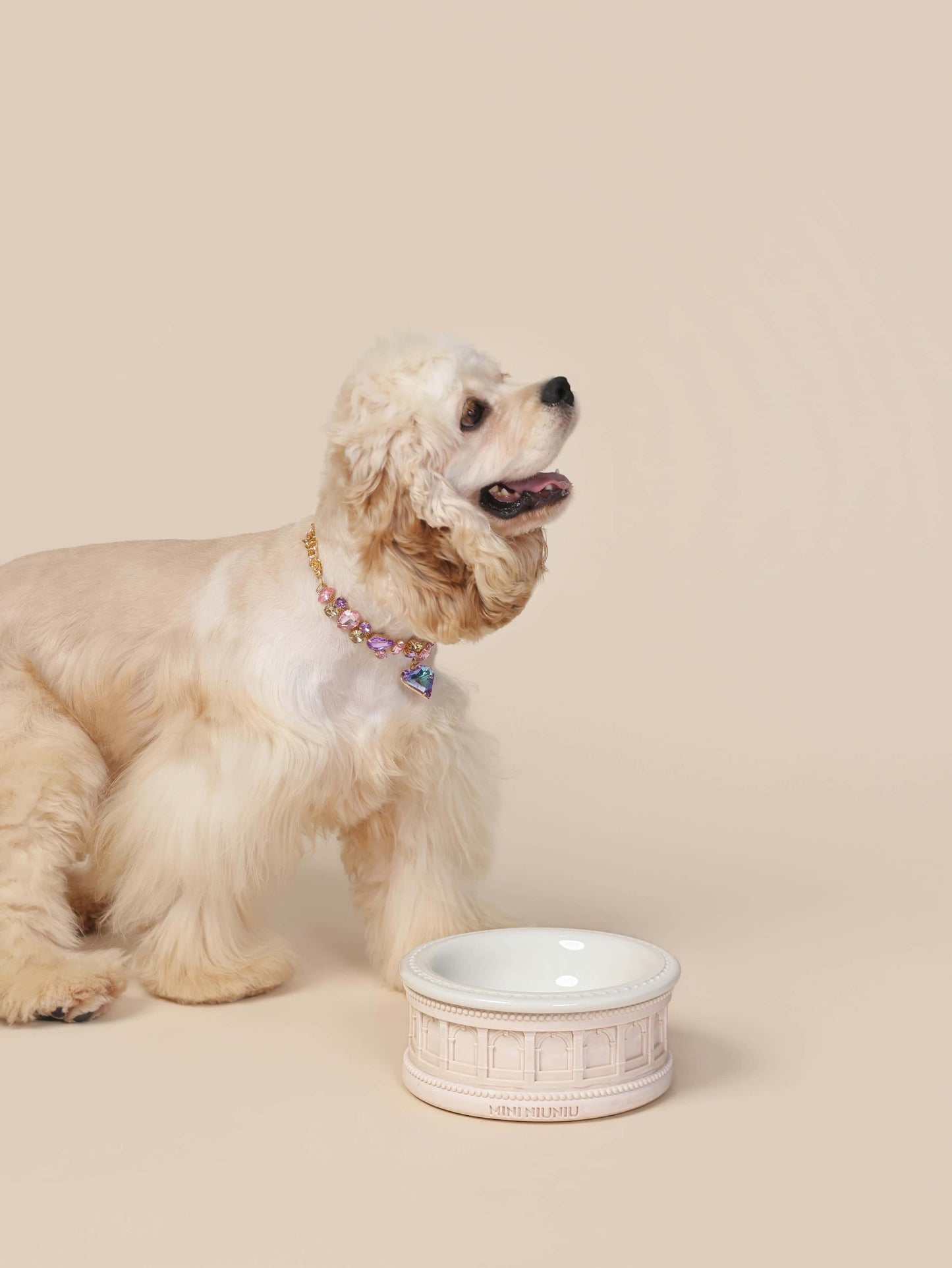 Roman-Style Pet Bowl Set – Oatmeal