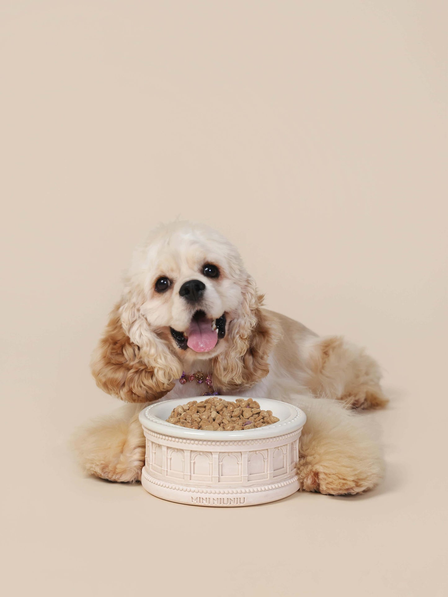 Roman-Style Pet Bowl Set – Oatmeal