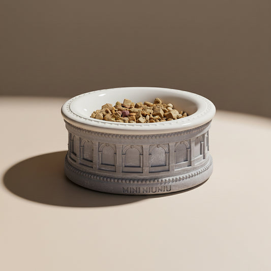 Roman-Style Pet Bowl Set – Gray