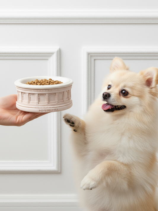 Roman Pet Bowl Set – Oatmeal Edition