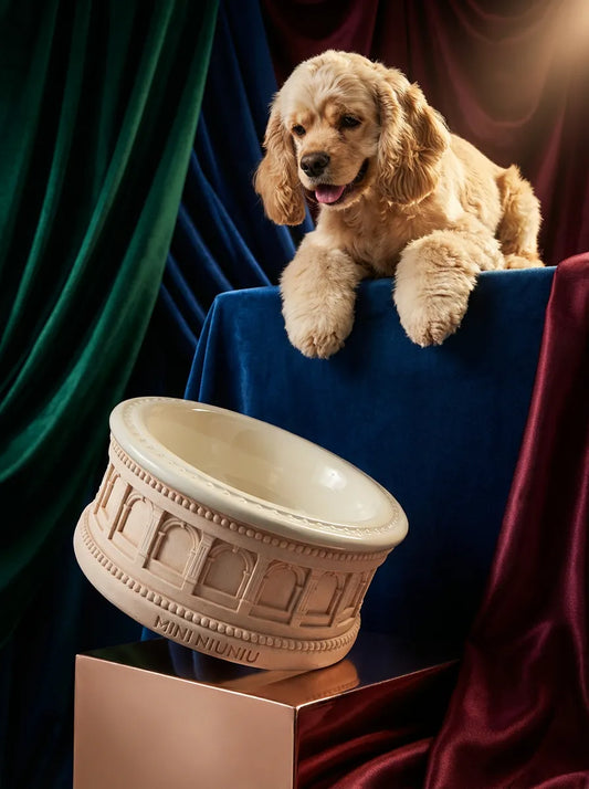 Roman-Inspired Pet Bowl Set – Oatmeal Edition